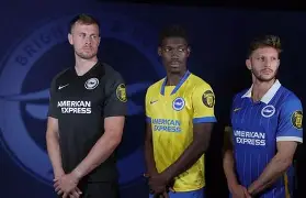 星空体育网页版入口-包含布莱顿训练开放日，今晚调整名单引欢呼，意甲在即，高层口径保持一致的词条